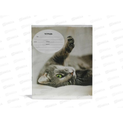 Тетрадь 18листов клетка  ArtSpace Питомцы 14334*20/200