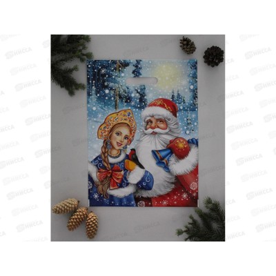 Пакет пробивной Новый Год 31*40 Дед мороз и снегурочка *50/500