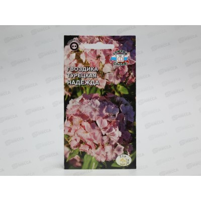 Гвоздика Надежда (турецкая) (Евро, 0,5) СеДек *10 + Гвоздика Надежда (турецкая) (Евро, 0,5) СеДек *10 +