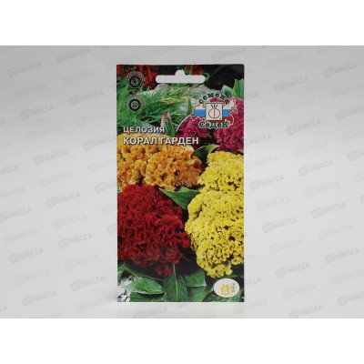 Целозия Корал гарден (гребенчатая, низкорослая, смесь цветов) (Евро, 0,2) СеДек *10 + Целозия Корал гарден (гребенчатая, низкорослая, смесь цветов) (Евро, 0,2) СеДек *10 +