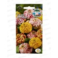 Цинния Арлекин (изящная) (Евро, 0,5) СеДек *10 +