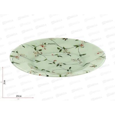 Тарелка Барбарис 195мм 10327SLBD31 *12 Тарелка Барбарис 195мм 10327SLBD31 *12