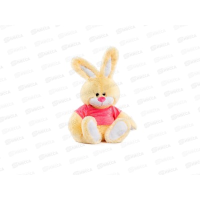 Зайка Тёпа, 1561 Бк Зайка Тёпа, 1561 Бк