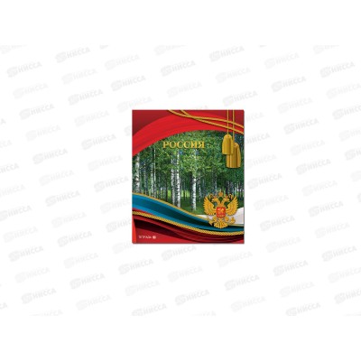 Тетрадь 48л кл. ПЛН Россия-2, 2706  *40