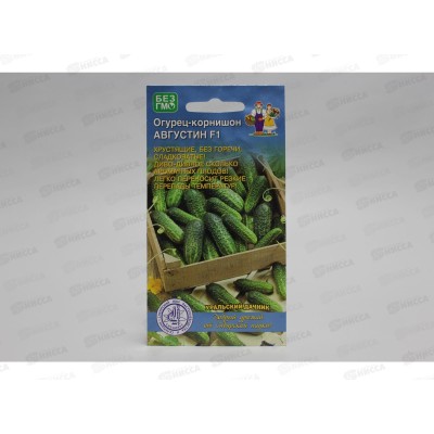 Огурец Августин F1 корнишон Евро *10 УрД + Огурец Августин F1 корнишон Евро *10 УрД +