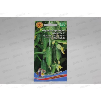 Огурец Амиго F1 корнишон Евро *10 УрД + Огурец Амиго F1 корнишон Евро *10 УрД +