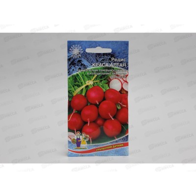 Редис Краса Алтая Евро *10 УрД + Редис Краса Алтая Евро *10 УрД +