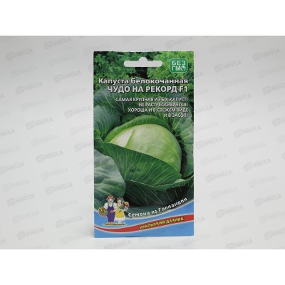 Капуста Чудо на рекорд белокочанная F1 Евро *10 УрД Капуста Чудо на рекорд белокочанная F1 Евро *10 УрД