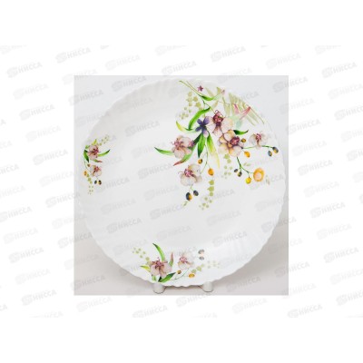 Тарелка мелкая 240 131-21027 Тарелка мелкая 240 131-21027