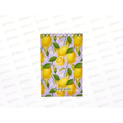 Блокнот 48листов ПГС Фрукты, 100*150, на гребне *12 Блокнот 48листов ПГС Фрукты, 100*150, на гребне *12