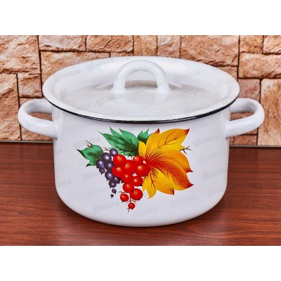 Кастрюля 2,0л эмалированная с рисунком 01-1610.1/4 Смородина *8