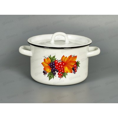 Кастрюля 2,0л эмалированная с рисунком 01-1610.1/4 Смородина *8