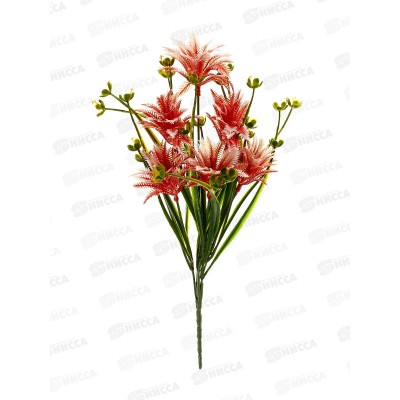 Букет 35см 6голов №120 13894 *1/40  Б