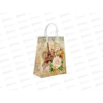 Сумочка пластик мягкий 23*27 Шанталь *40