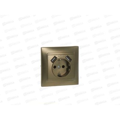 Розетка TDM cкрытая установка, 16А+2USB 2.1А, бронза, "Лама", 0742 *10