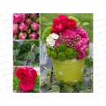 Клеенка Grace ткань с пвх 1,37х20м ST1055 86354 розы Клеенка Grace ткань с пвх 1,37х20м ST1055 86354 розы
