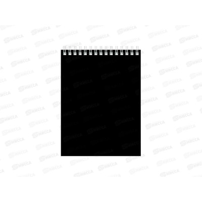 Блокнот 60листов BG А6 чёрный, для конференции, 8598 *100