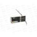 РАДИОПРИЕМНИК РП-226ВТ Сигнал (FM, USB/microSD, акб 1100мАч, дисплей) РАДИОПРИЕМНИК РП-226ВТ Сигнал (FM, USB/microSD, акб 1100мАч, дисплей)