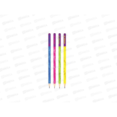 Карандаш чернографитный Berlingo Double color HB заточенный ВР00840*72 Карандаш чернографитный Berlingo Double color HB заточенный ВР00840*72