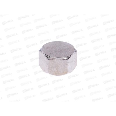 Заглушка на трубу 1/2" г, Aqualink, 02582 *10/500 Заглушка на трубу 1/2" г, Aqualink, 02582 *10/500