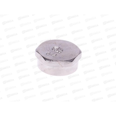 Заглушка на трубу 3/4" г, Aqualink, 02583 *10/300 Заглушка на трубу 3/4" г, Aqualink, 02583 *10/300