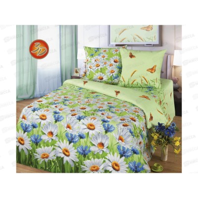 Комплект постельного белья 2спальный 215*175 европрост бязь,плотность 125 Просторы