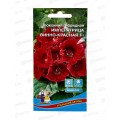 Глоксиния Императрица Винно-красная F1 Евро *10 УрД + Глоксиния Императрица Винно-красная F1 Евро *10 УрД +