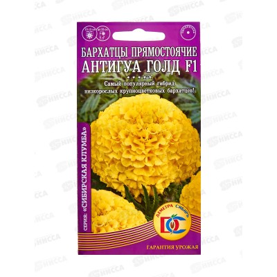 Бархатцы Антигуа Голд махровые прямостоячие F1 (5шт) ДемСиб *10 +