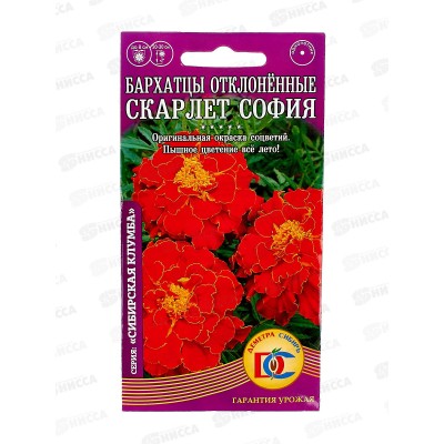 Бархатцы София отклоненные махровые (0,2гр) ДемСиб *10 +