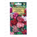 Гвоздика бородатая Монпасье (турецкая) 0,2г *10 ГШ