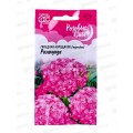 Гвоздика бородатая Розамунда (турецкая) 0,2г *10 ГШ +