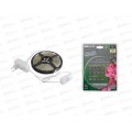 Комплект светодиодной ленты SMD2835-60 LED/м-12, IP65-3000 К, 5м, 24Вт TDM, 0229 Комплект светодиодной ленты SMD2835-60 LED/м-12, IP65-3000 К, 5м, 24Вт TDM, 0229