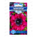 Петуния Титан Бордо 7шт проб *10 ГШ + Петуния Титан Бордо 7шт проб *10 ГШ +