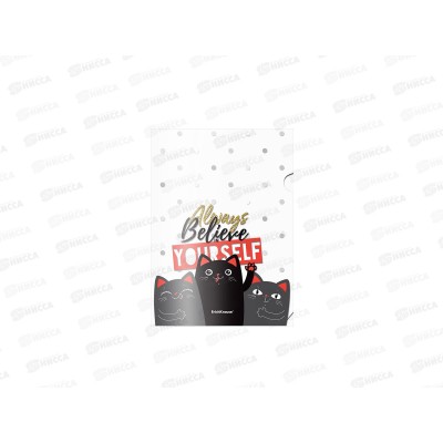 Папка-уголок EK54890 А4 4шт Feline Frends *50 Папка-уголок EK54890 А4 4шт Feline Frends *50