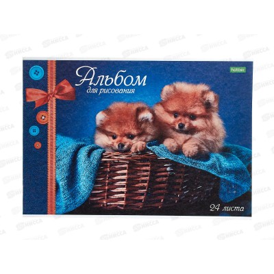 Альбом для рисования 24 листов  Hatber ассорти *55