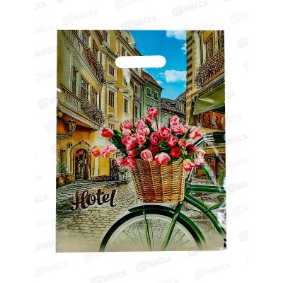 Пакет пробивной 31*40  Отель *50/500 Пакет пробивной 31*40  Отель *50/500