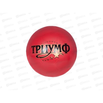 Мяч д.200мм Триумф Р2-200/Тр *8 Мяч д.200мм Триумф Р2-200/Тр *8