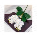 Цветы искусственные 28см Орхидея королевская белый 4301691 *1 Цветы искусственные 28см Орхидея королевская белый 4301691 *1