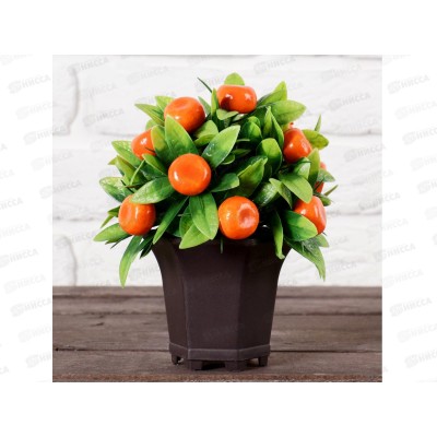 Бонсай в горшке &quotМандариновый куст&quot 13*18см 4555659
