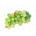 Бутафория гроздь винограда, зеленая (045697)    Ж