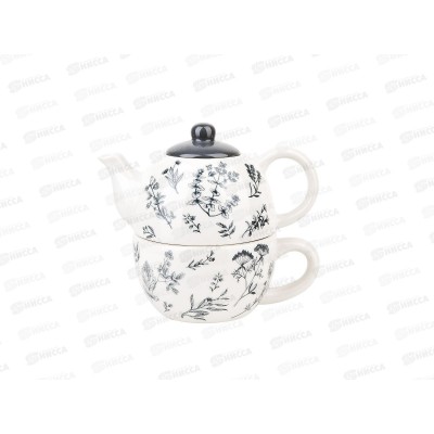 Набор 2предмета, чайник v=380мл, чашка v=350мл "Луговые травы" L2520928 *16