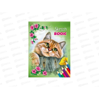 Блокнот (скетчбук) 36л Кошки *12