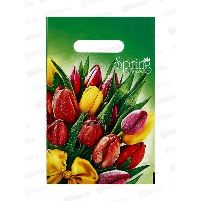 Пакет пробивной 20*30 Весна МЕЛКИЙ *100/2000 Пакет пробивной 20*30 Весна МЕЛКИЙ *100/2000