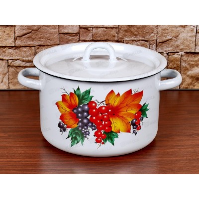 Кастрюля 3,0л эмалированная 01-1612/4 Смородина *4