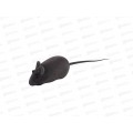 Игрушка-пищалка для кошек Мышка р.13*2*3см VL40-100 *12 Игрушка-пищалка для кошек Мышка р.13*2*3см VL40-100 *12