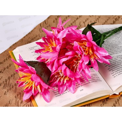 Букет астр 6голов 45см микс №52 *2/20