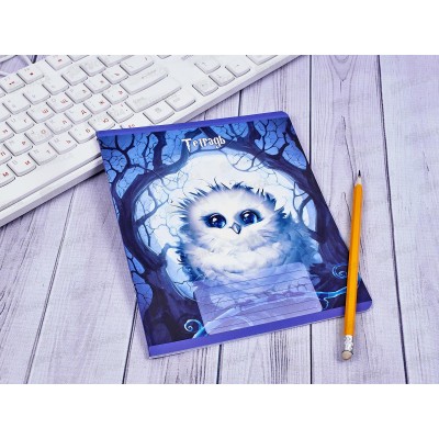 Тетрадь 24листа клетка ПЗБМ Совенок Гарри 018535 *20/140 Тетрадь 24листа клетка ПЗБМ Совенок Гарри 018535 *20/140