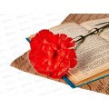 Цветы искусственные 40см гвоздика бархат А-96 *20/300