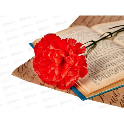 Цветы искусственные 40см гвоздика бархат А-96 *1/50/300