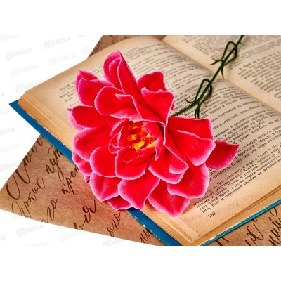 Цветы искусственные 40см георгин №25 *40/35/315